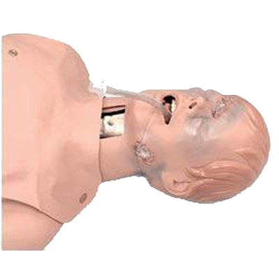 Critical Airway Management Trainer-Simulaids-Integrated MedCraft