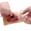 TrueClot Through-and-Through (TnT) Task Trainer, Gunshot, Dark Flesh Tone